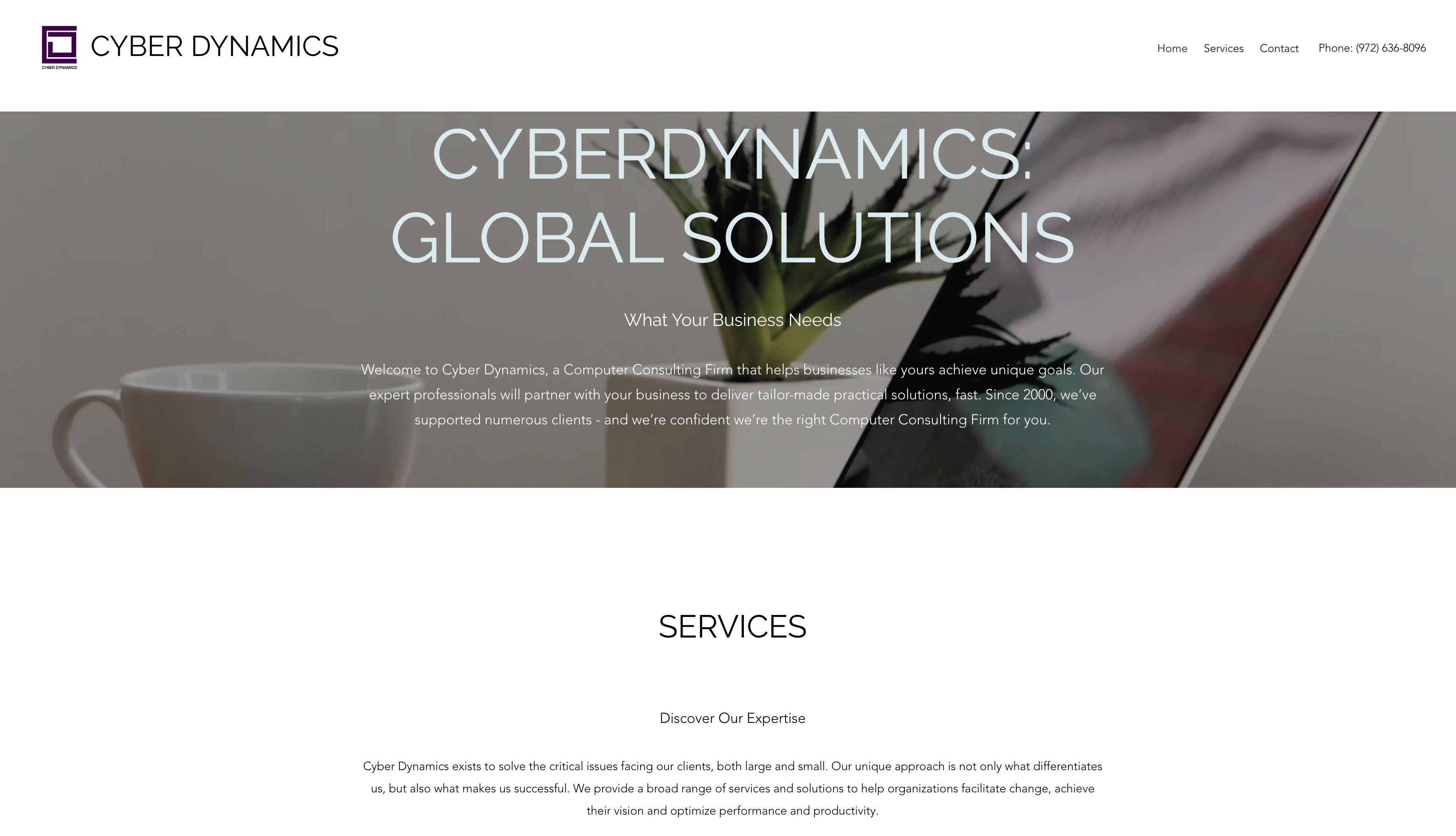 Screenshot of Cyber Dynamics Inc. website
